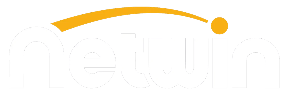 Netwin logo